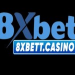 8xbett casino Profile Picture