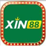 Xin 88 Profile Picture