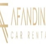 afandinacar Profile Picture