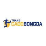 Trang Cá Độ Bóng Đá Profile Picture