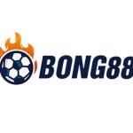 Bong88 Vnd Profile Picture