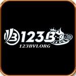 123bvi org Profile Picture