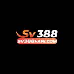 SV388 Profile Picture
