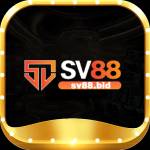 SV88 bid Profile Picture