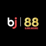 BJ88 Insure Profile Picture
