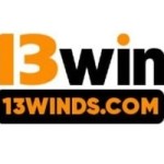 13windscom Profile Picture