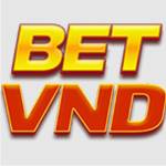 Betvnd Profile Picture
