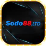 sodo88 ltd Profile Picture