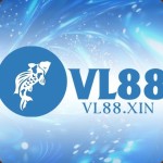 vl88xin Profile Picture