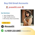 pvasellit1254 Profile Picture