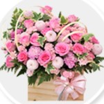 Shop Hoa Tươi Long An Profile Picture