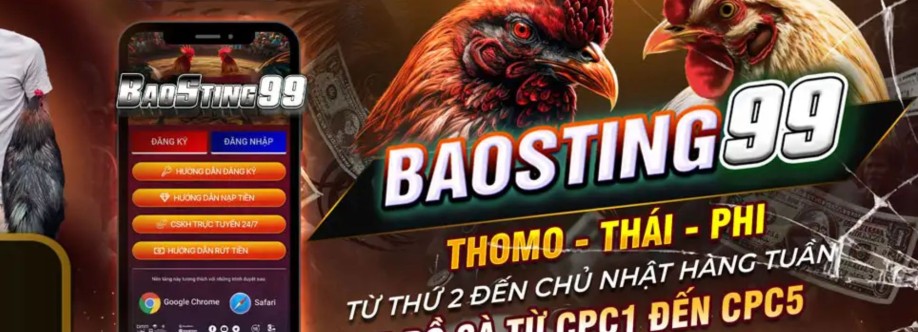 BAO STING Cover Image