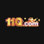 11q ocom Profile Picture
