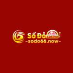 SODO66 Profile Picture