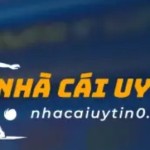 NhaCai Uy Tin Profile Picture