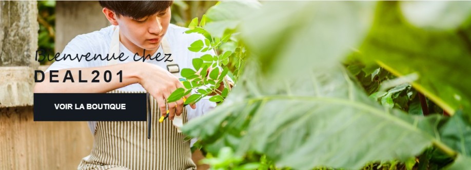 DEAL201 Prélèvement Cover Image