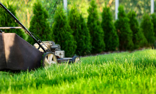 How Lawn Mower Repair Services Help Keep Your Grass Lush & Clean? – My Awesome Site
