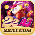 22aj Profile Picture