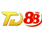 Td88 clothing Profile Picture