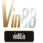 Vin 88 Profile Picture