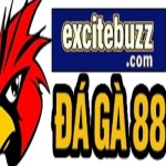 Đá Gà 88 Profile Picture