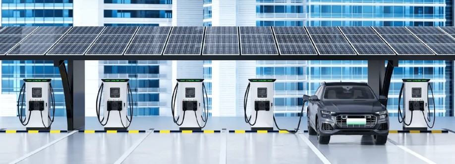 Li Charger Cover Image