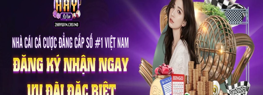 HAYWIN Cover Image