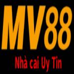 MV88 profile picture