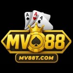 MV88 Profile Picture