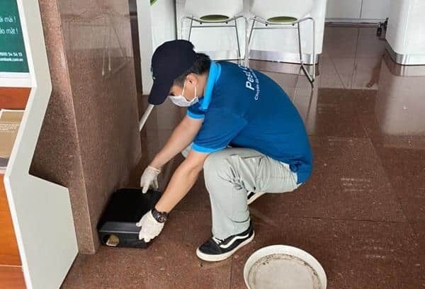 Dịch Vụ Diệt Chuột Tại TPHCM Chất Lượng Giá Rẻ