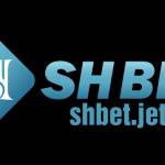 Shbet jetzt Profile Picture
