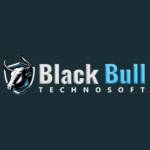 blackbull technosoft Profile Picture