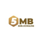 5MB DOMAINS Profile Picture
