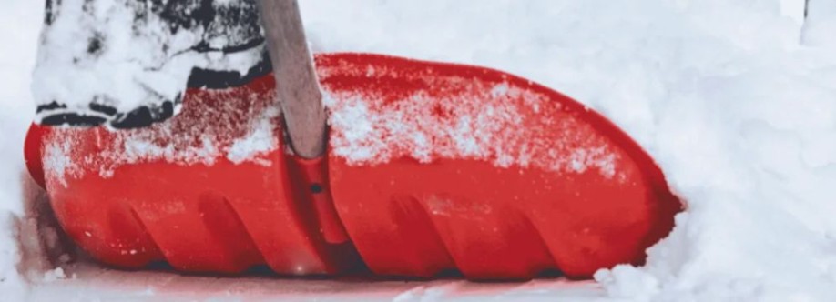 Snow Shovelers Cover Image