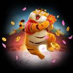 globalbetcc Profile Picture