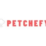 Petchefy Miami Profile Picture