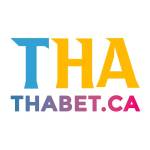 THABET Profile Picture