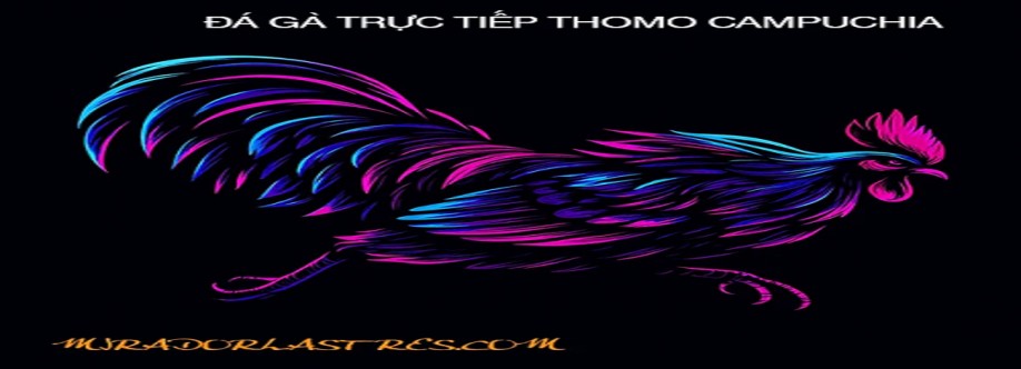 ĐÁ GÀ TRỰC TIẾP THOMO HÔM NAY Cover Image