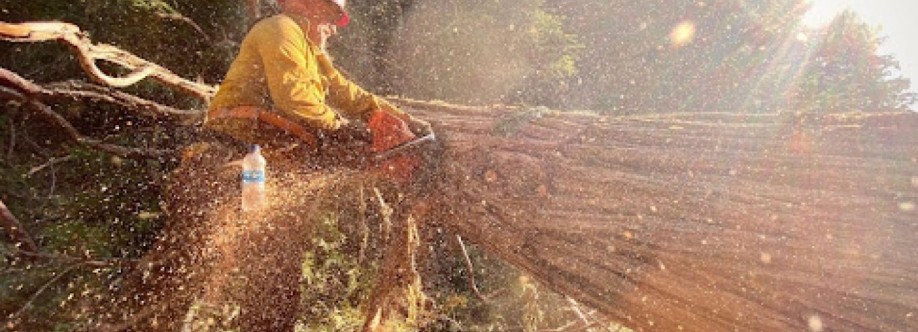Texas Land Clearing Solutions Cover Image