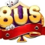 8us 8us Profile Picture