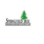 springfieldtree Profile Picture