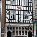 The RedLion Profile Picture