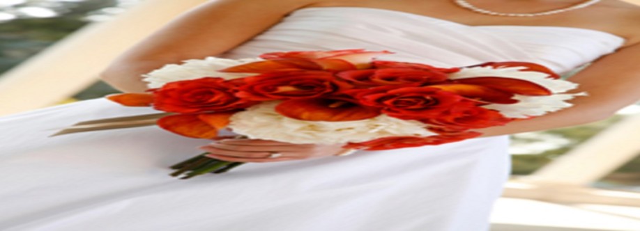 Idalia Castellanon Cover Image
