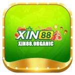 xin88 organic Profile Picture
