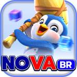 NOVABR Profile Picture