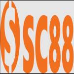 Sc88 best Profile Picture