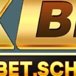 OXBET OXBET Profile Picture