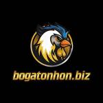 bogatonhon biz Profile Picture