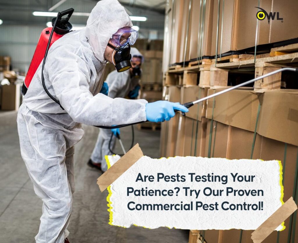 Key Features That Enhance the Solutions of Premier Pest Control Services Dublin