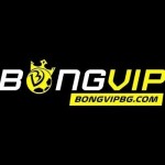 BongVip Profile Picture